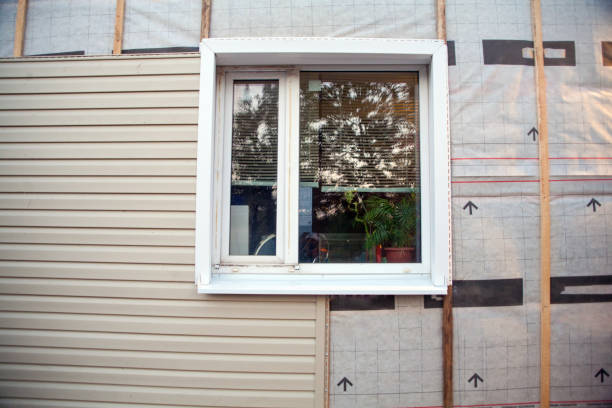 Best Stucco Siding  in Bloomville, OH