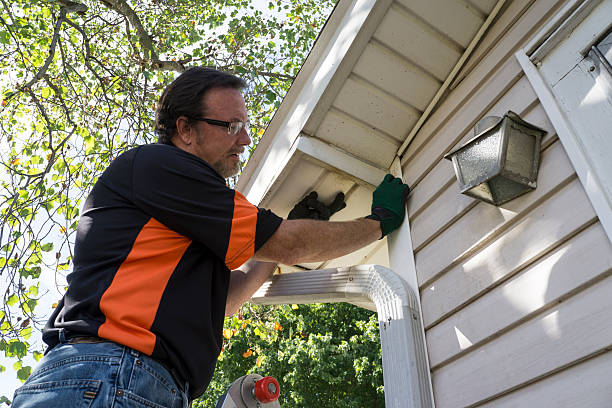 Best Residential Vinyl Siding Installation  in Bloomville, OH
